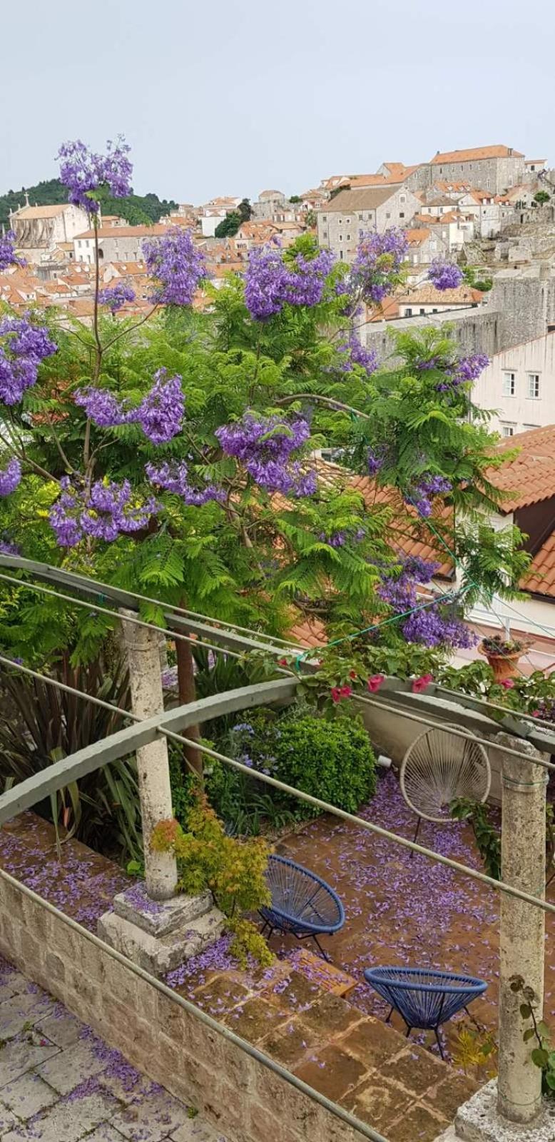 דוברובניק Villa Ani Apartment Ariel מראה חיצוני תמונה